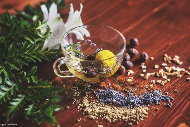 Ayurveda Explained: A Quick & Simple Guide