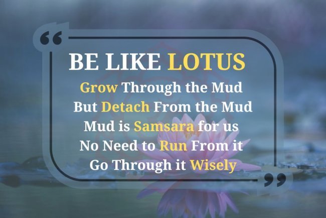 When Life Gets Tough, Bloom Like a Lotus