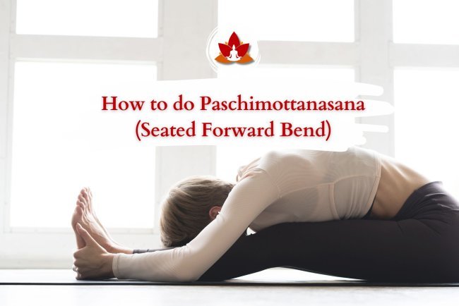 Paschimottanasana (Seated Forward Bend): Steps, Benefits & Precautions