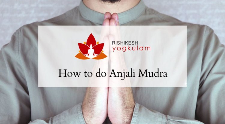 Prayer Salutation - Anjali Mudra - The Namaste Counsel