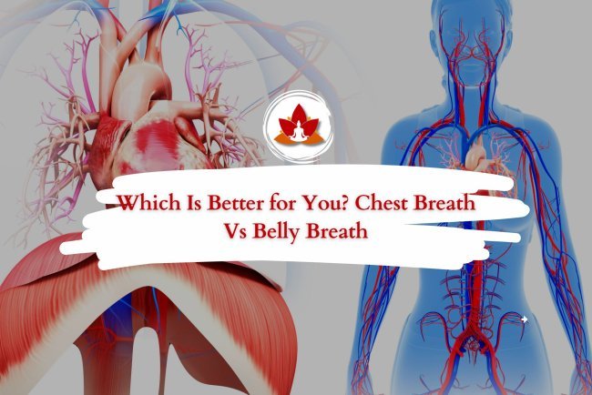 Chest Breathing vs Belly Breathing: Which One is Best for You?