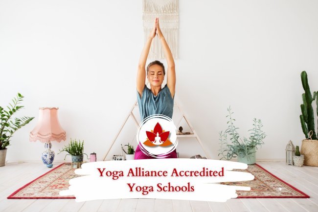 Best Yoga Alliance Certified Yoga Schools (2025-2026 Guide)