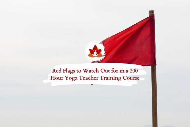 Avoid These 8 Mistakes When Choosing a 200-Hour Yoga Teacher Training