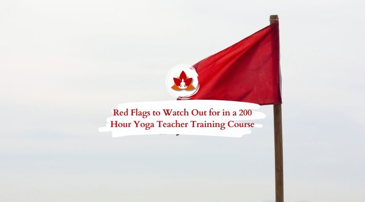 Avoid These 8 Mistakes When Choosing a 200-Hour Yoga Teacher Training