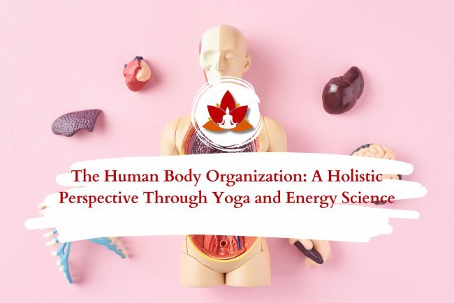 The Human Body's Organization: A Holistic View with Yoga & Energy Science