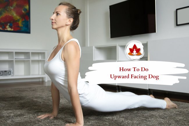 How to Perfect Your Upward Facing Dog Pose