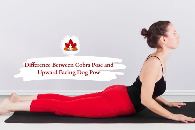 Cobra Pose vs. Upward Facing Dog: Key Differences Explained
