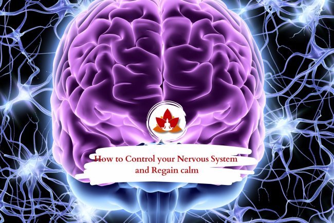 How to Calm Your Nerves and Control Your Nervous System