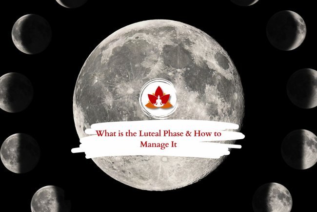 What is the Luteal Phase? How to Manage It for Better Fertility