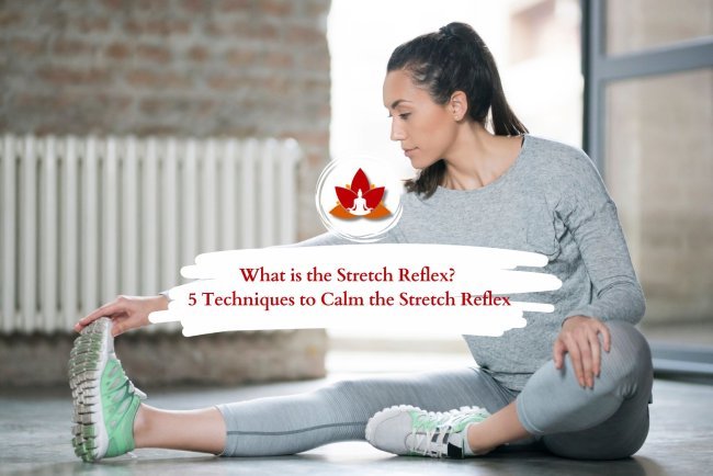 The Science of the Stretch Reflex and 5 Ways to Relax It