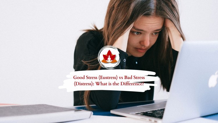 Eustress vs. Distress: What’s the Difference and How to Manage Both