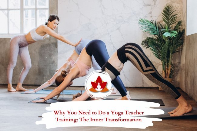 Why You Need to Do a Yoga Teacher Training: The Inner Transformation