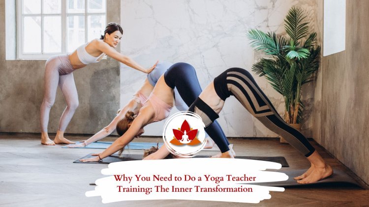 Why You Need to Do a Yoga Teacher Training: The Inner Transformation