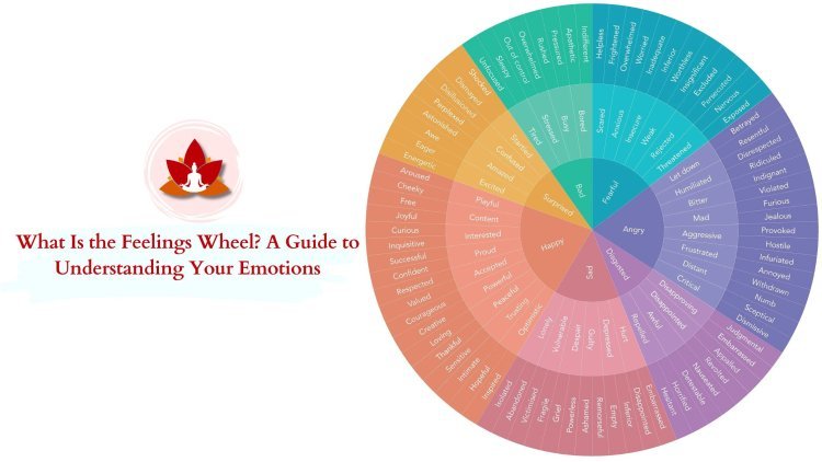 What Is the Feelings Wheel? A Guide to Understanding Your Emotions