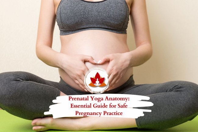 Prenatal Yoga Anatomy: Essential Guide for Safe Pregnancy Practice