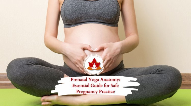Prenatal Yoga Anatomy: Essential Guide for Safe Pregnancy Practice