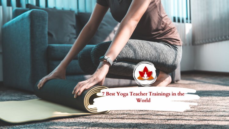 7 Best Yoga Teacher Trainings in the World (2026 Reviews)