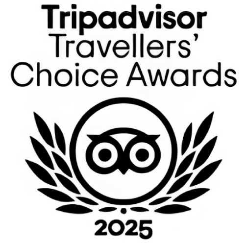 Tripadvisor Travellers Choice Award