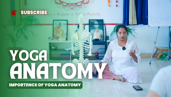 Yoga Anatomy And Physiology